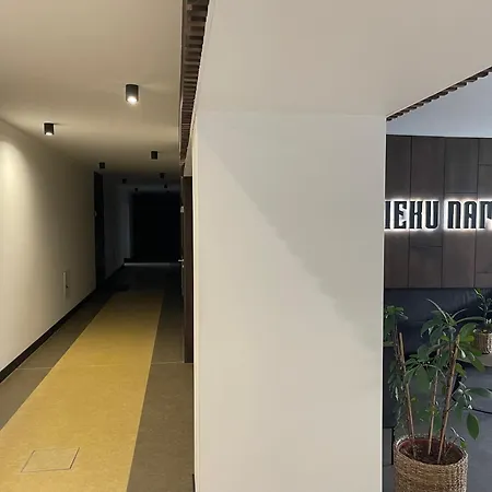 Burtnieku - Quiet & Cozy شقة *